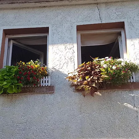 P&m - Gemse Schneider's Ferienwohnung Monteurszimmer Gastezimmer Διαμέρισμα Schollbrunn